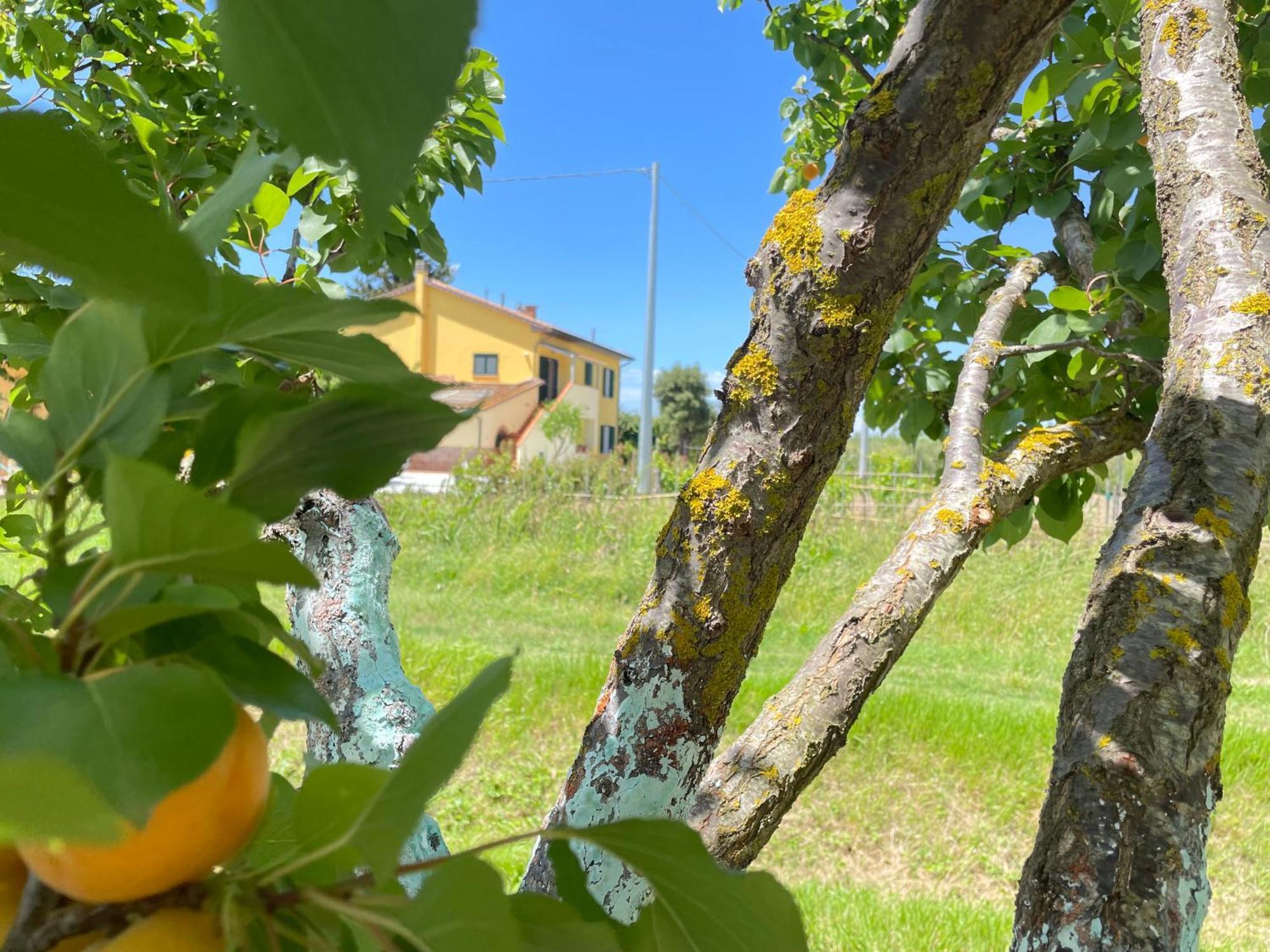 Il Leccio Agriturismo Fiorino Luaran gambar