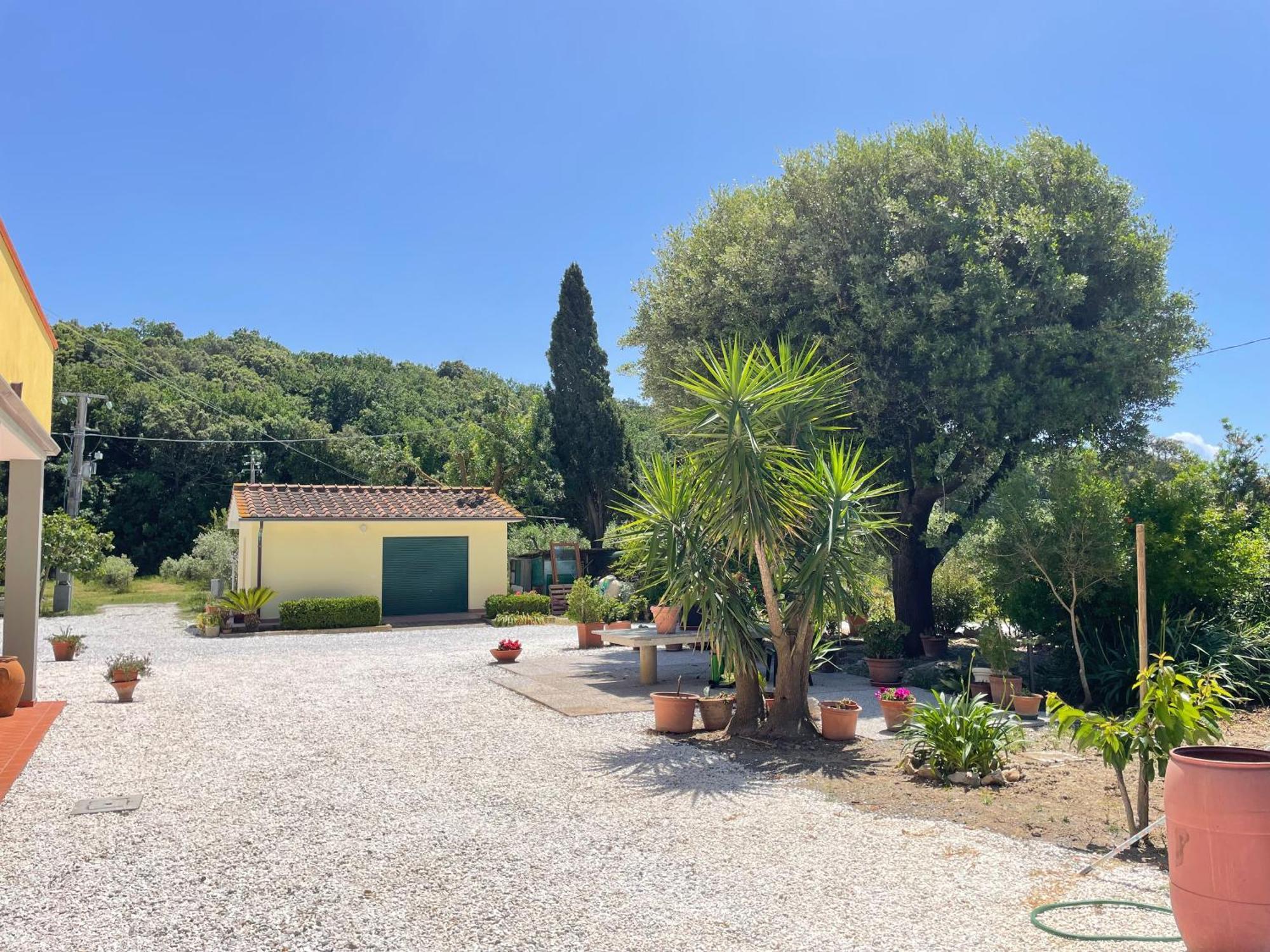 Il Leccio Agriturismo Fiorino Luaran gambar