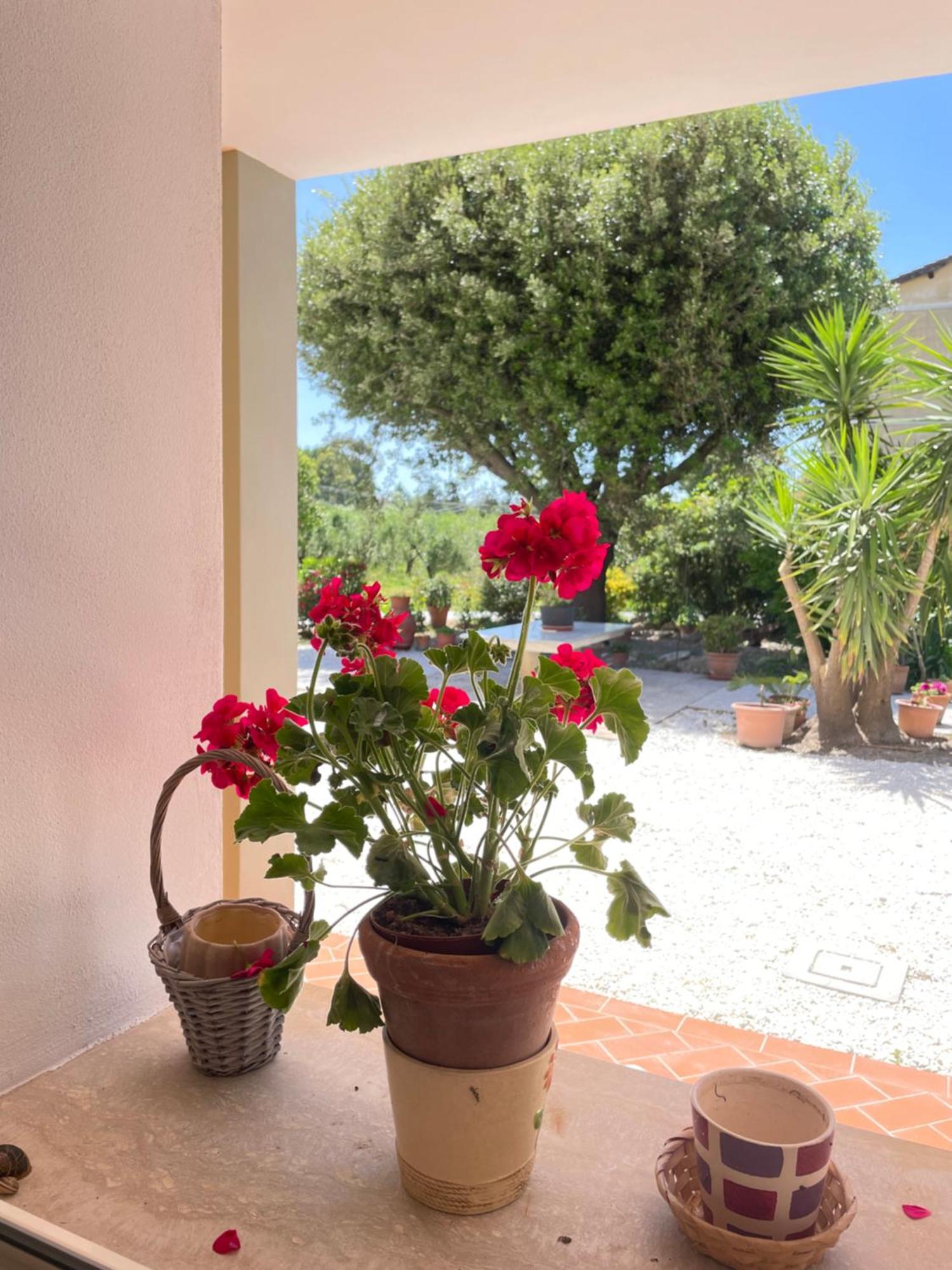 Il Leccio Agriturismo Fiorino Luaran gambar