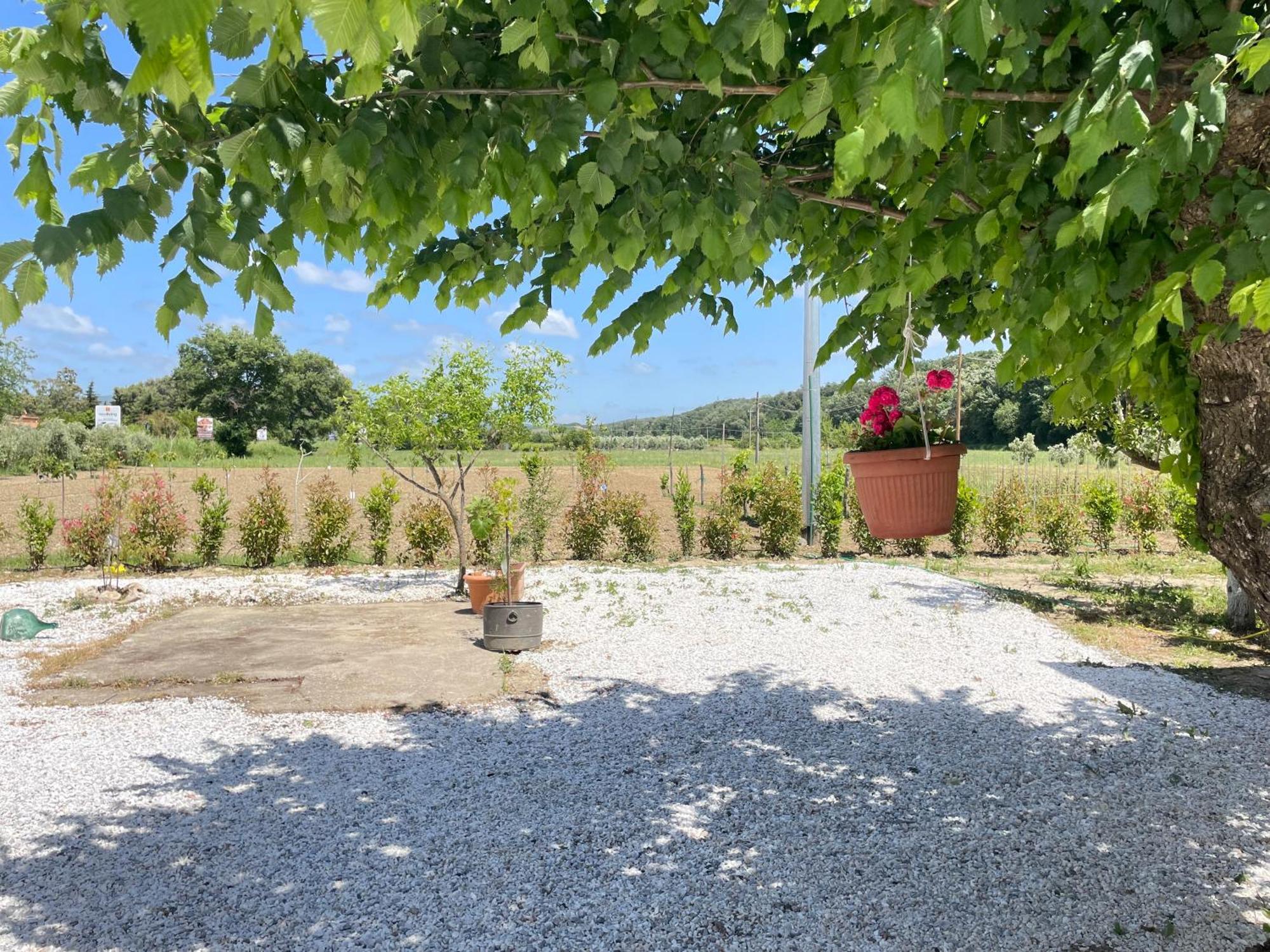 Il Leccio Agriturismo Fiorino Luaran gambar