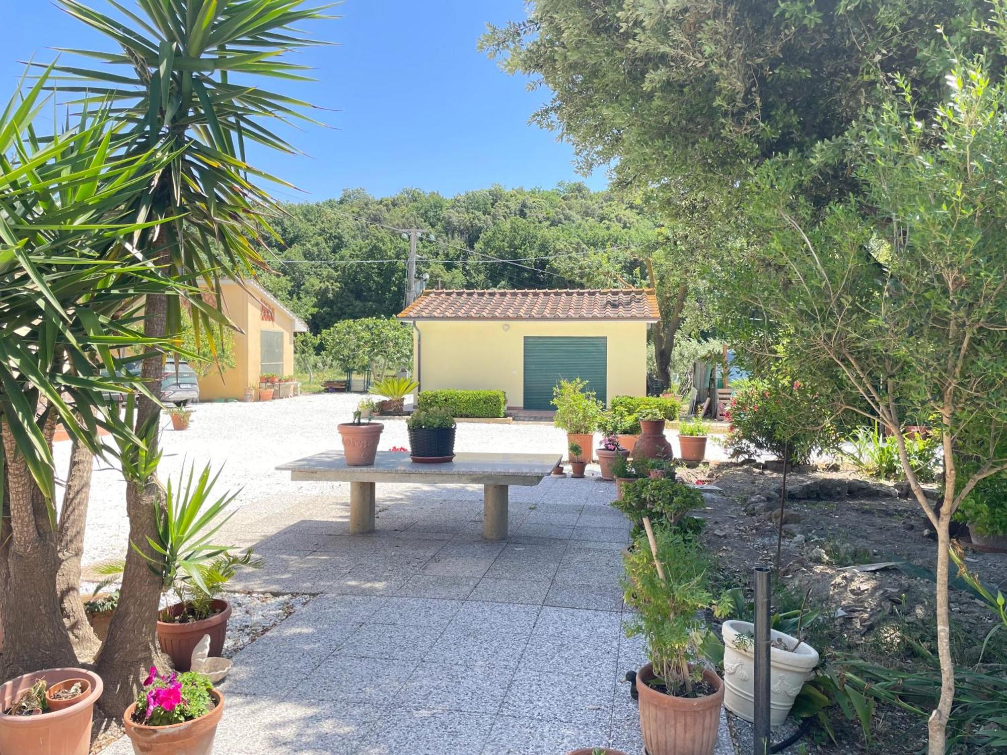 Il Leccio Agriturismo Fiorino Luaran gambar