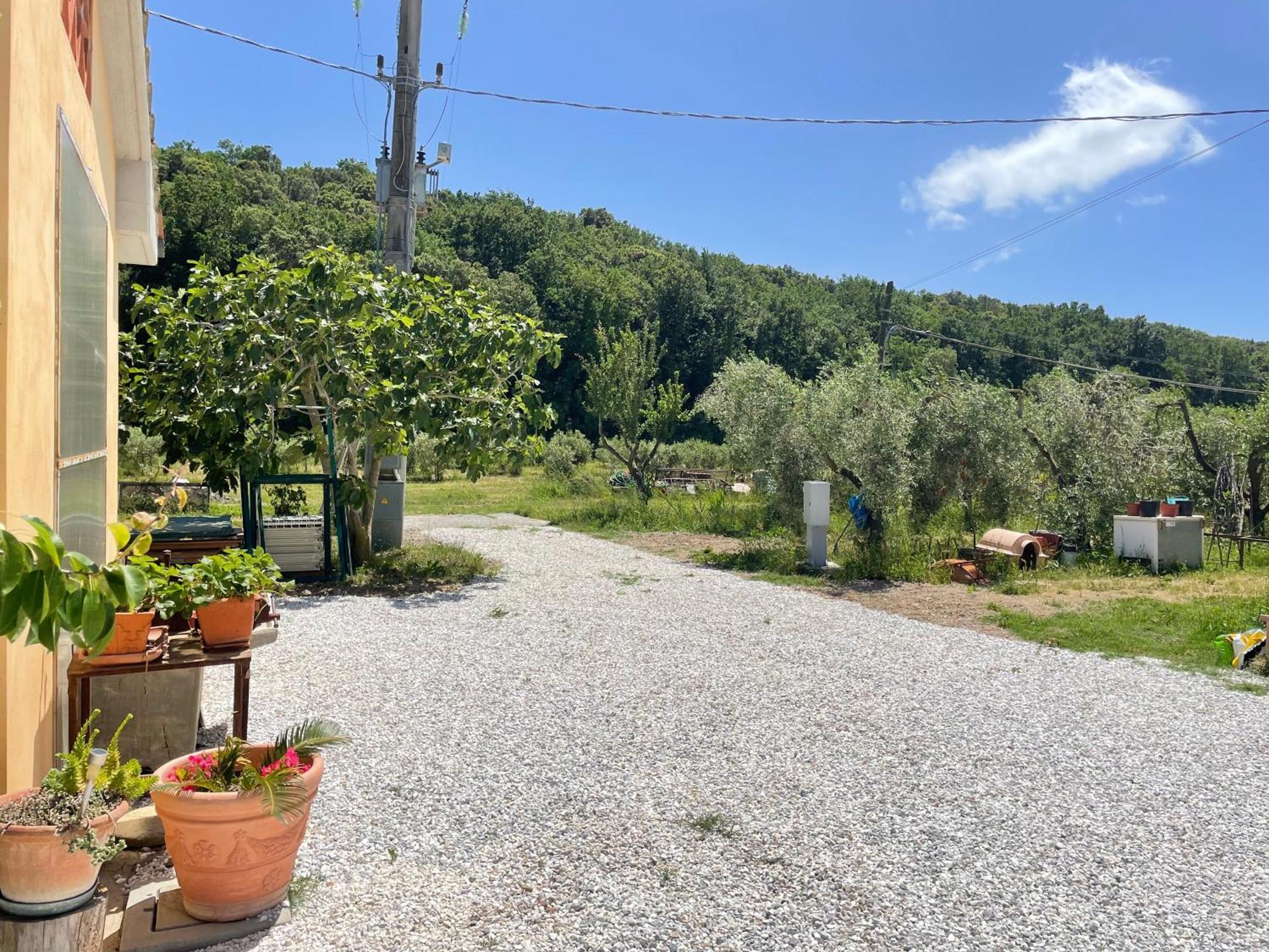Il Leccio Agriturismo Fiorino Luaran gambar