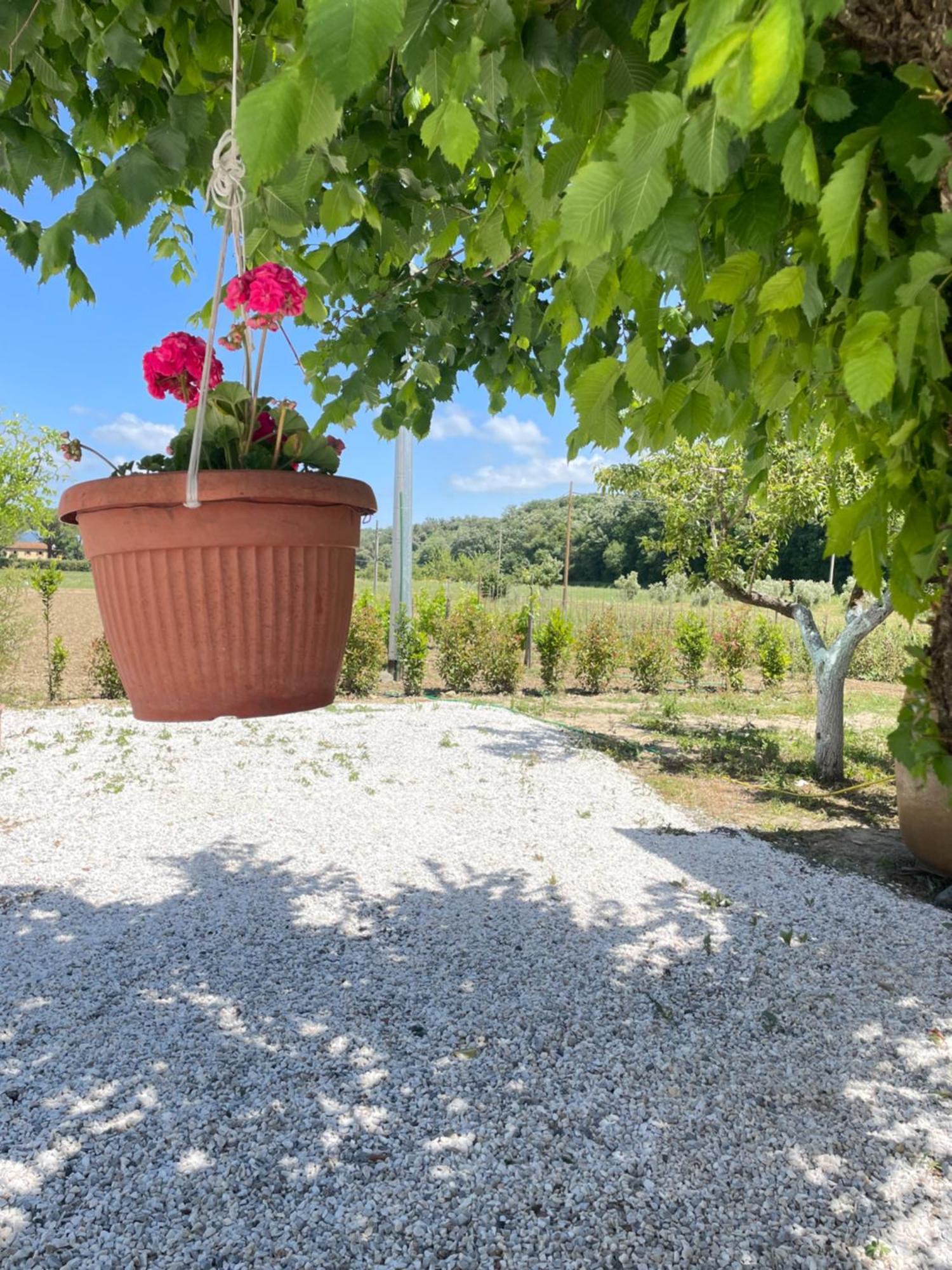 Il Leccio Agriturismo Fiorino Luaran gambar