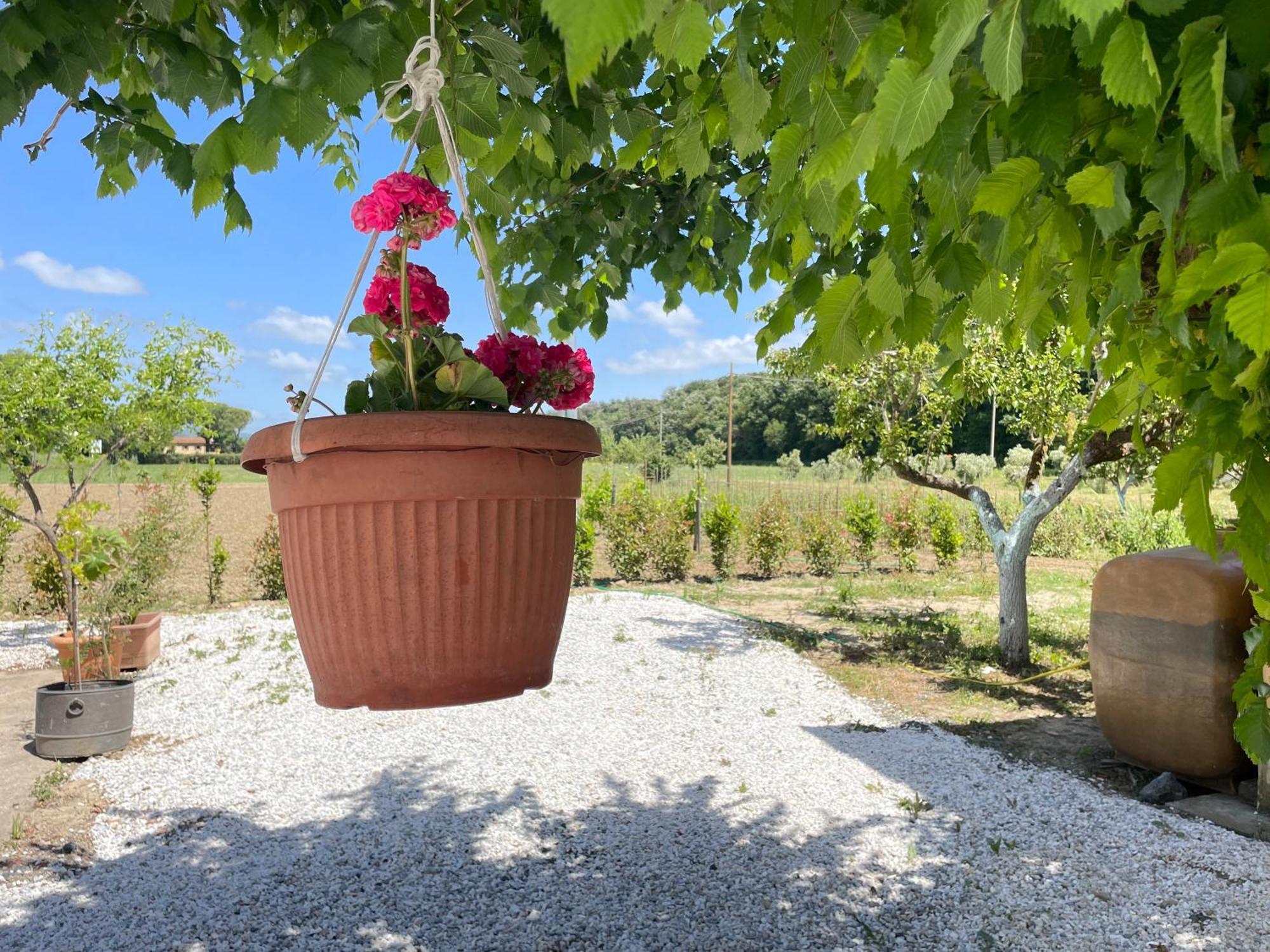 Il Leccio Agriturismo Fiorino Luaran gambar