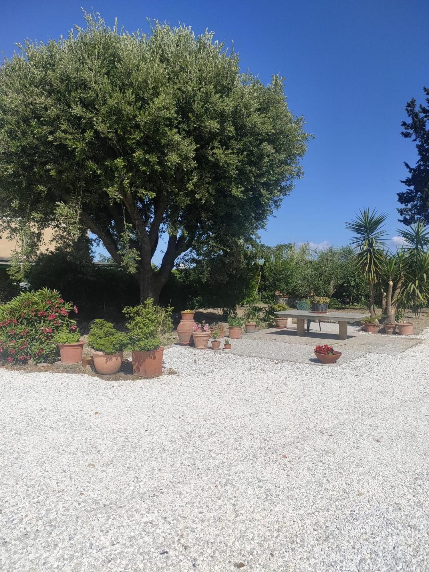 Il Leccio Agriturismo Fiorino Luaran gambar