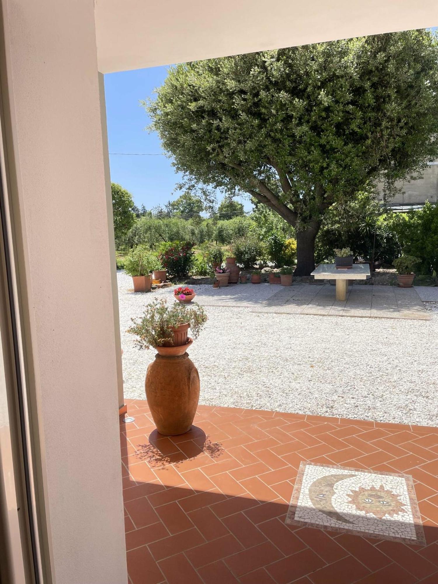 Il Leccio Agriturismo Fiorino Luaran gambar